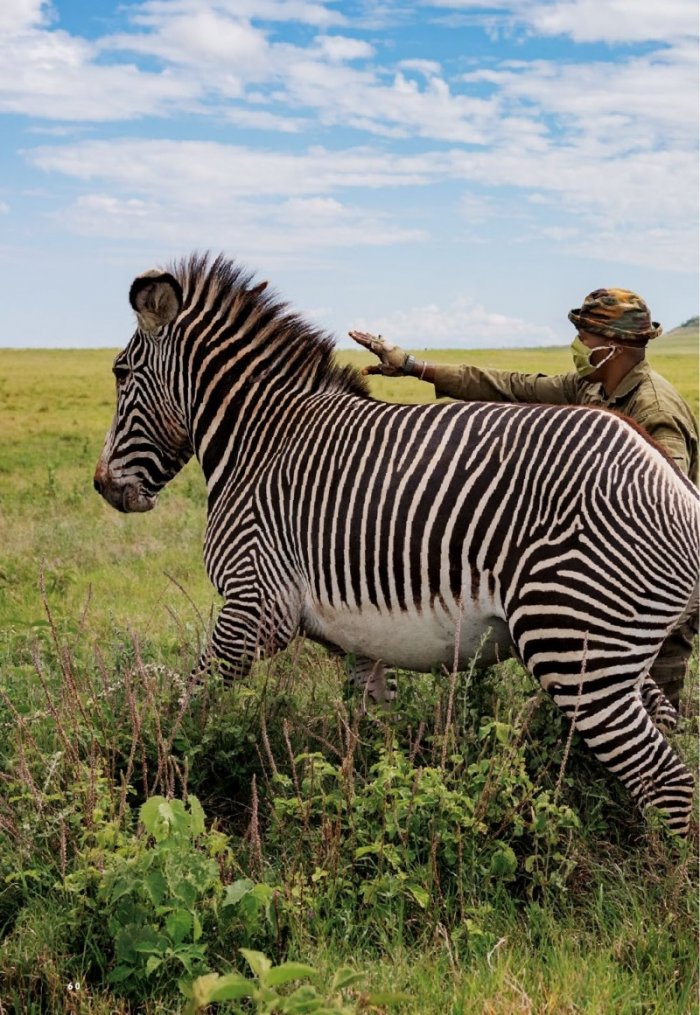 National Geographic България Август/2021