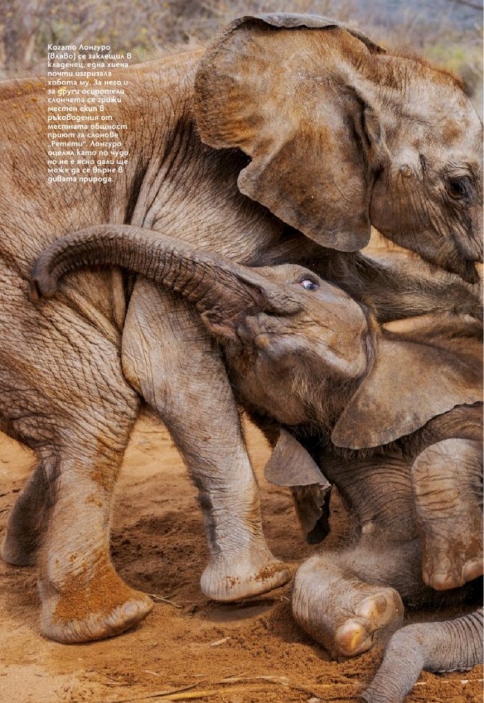 National Geographic България Август/2021