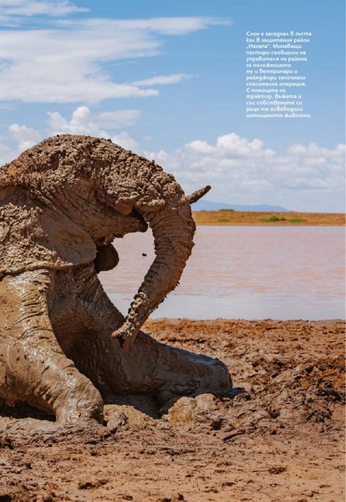 National Geographic България Август/2021