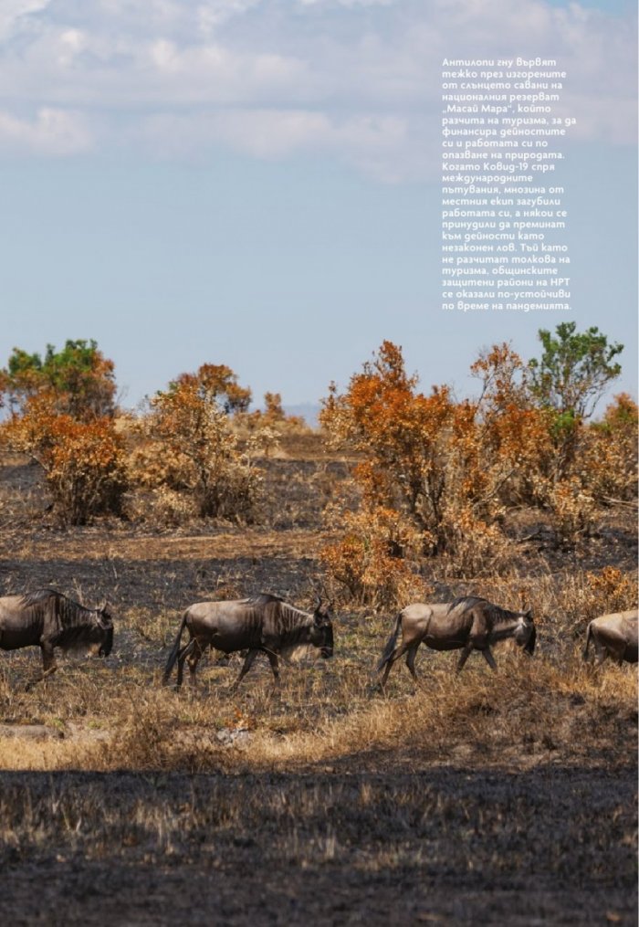 National Geographic България Август/2021
