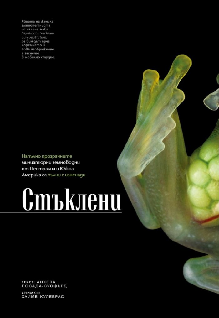 National Geographic България Август/2021