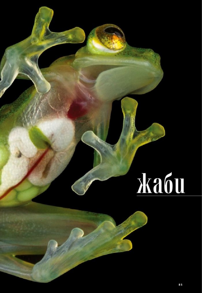 National Geographic България Август/2021