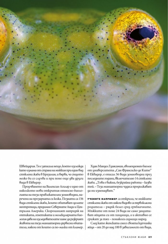 National Geographic България Август/2021