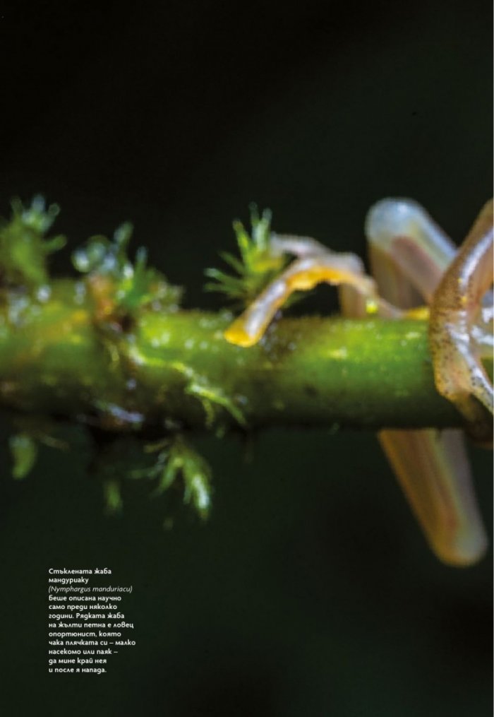 National Geographic България Август/2021