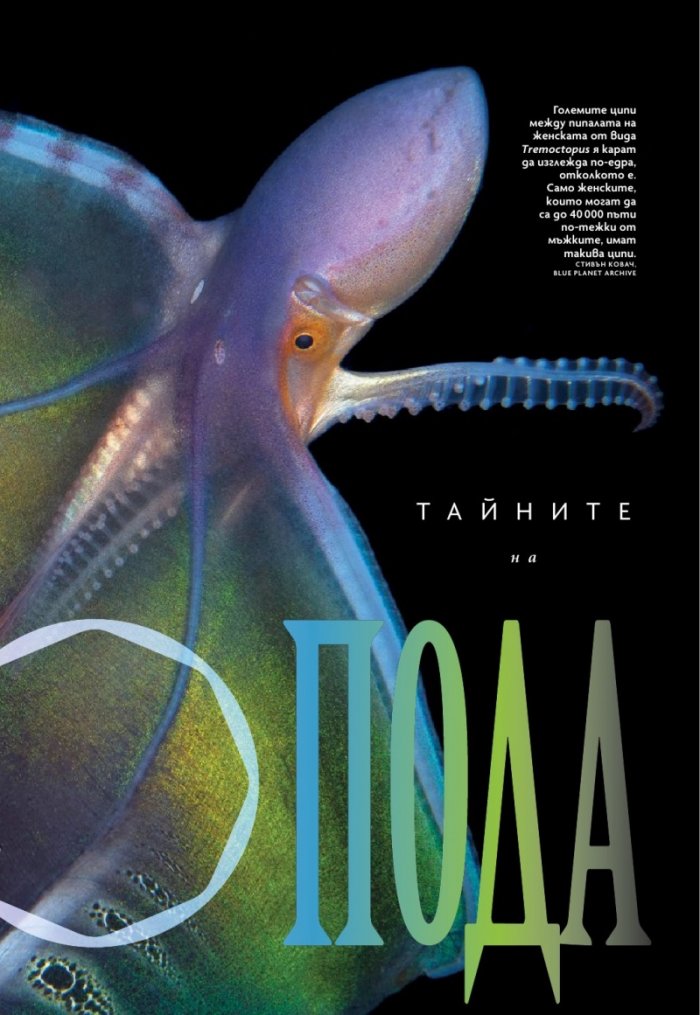 National Geographic България Май/2024
