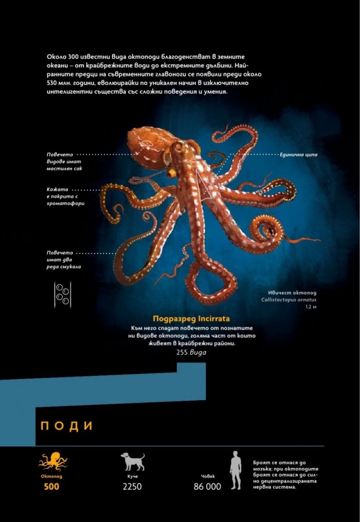 National Geographic България Май/2024
