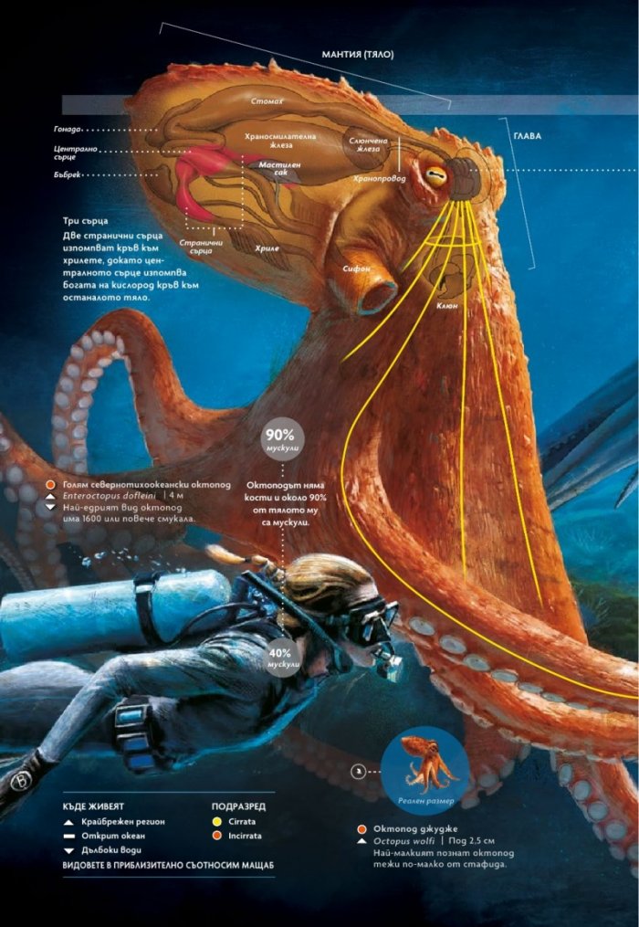 National Geographic България Май/2024