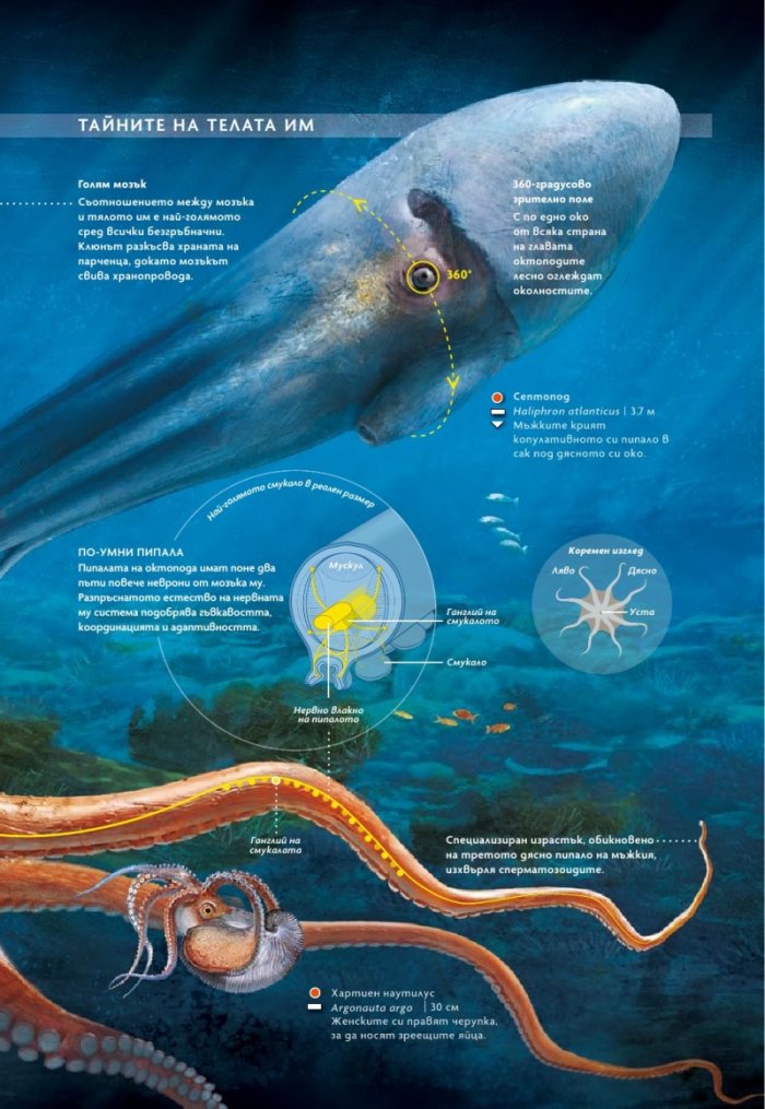 National Geographic България Май/2024