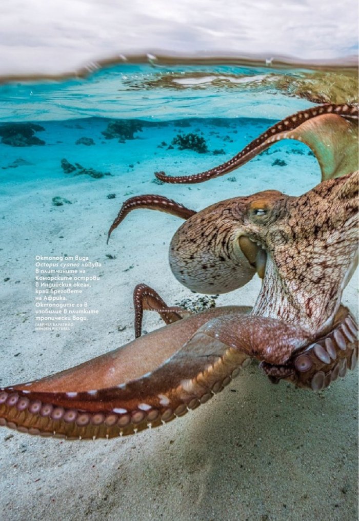 National Geographic България Май/2024