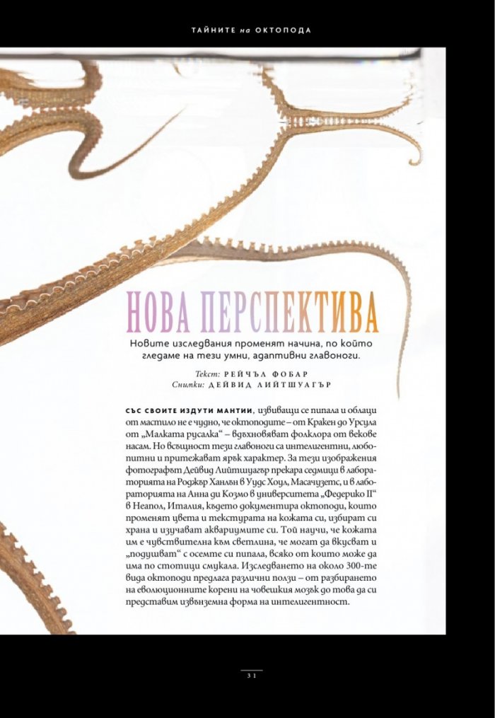 National Geographic България Май/2024