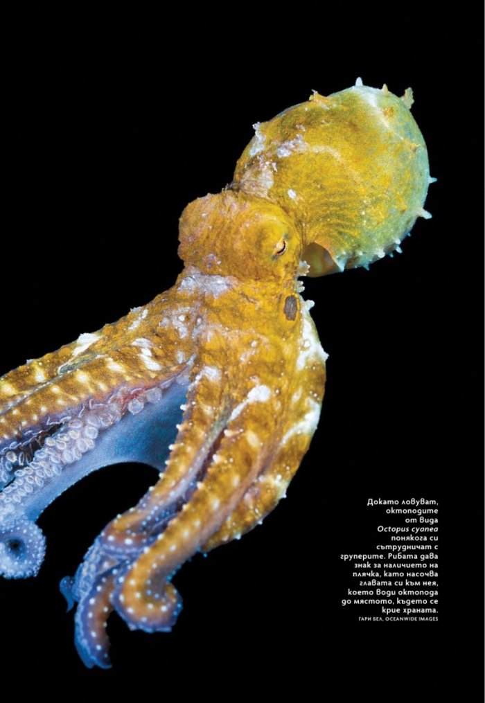National Geographic България Май/2024