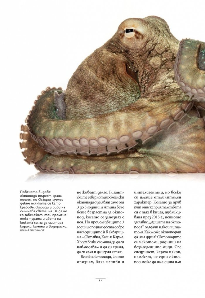 National Geographic България Май/2024