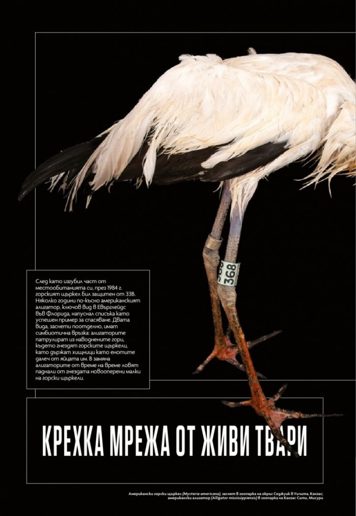 National Geographic България Май/2024