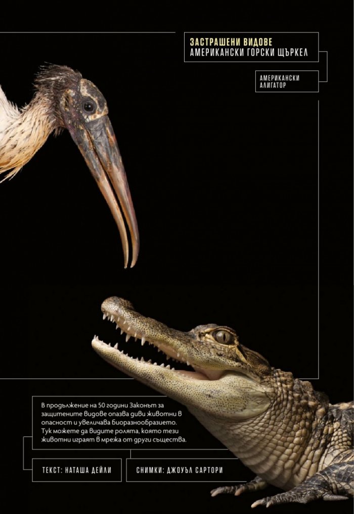 National Geographic България Май/2024