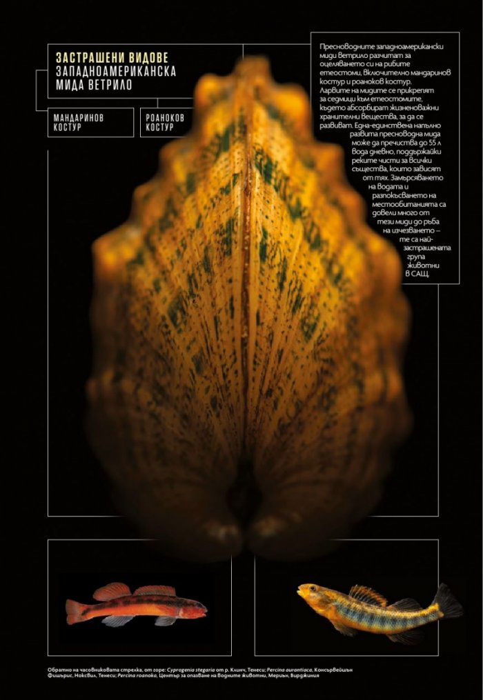 National Geographic България Май/2024