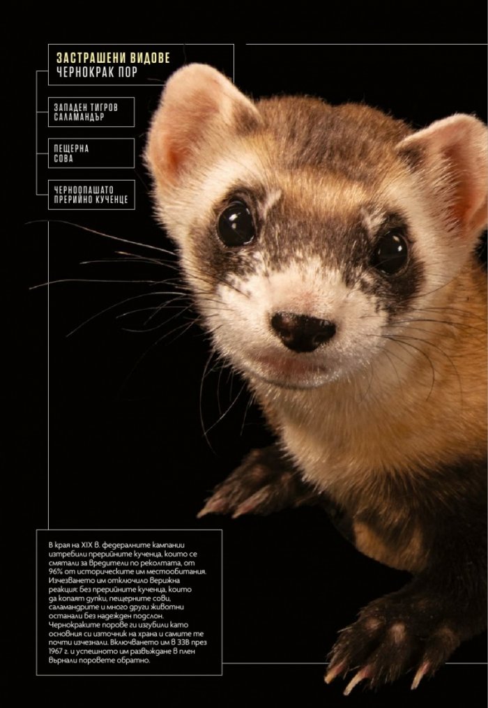 National Geographic България Май/2024