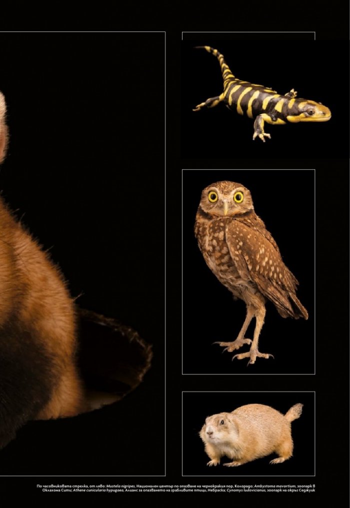 National Geographic България Май/2024