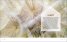 Design A Healthy Home