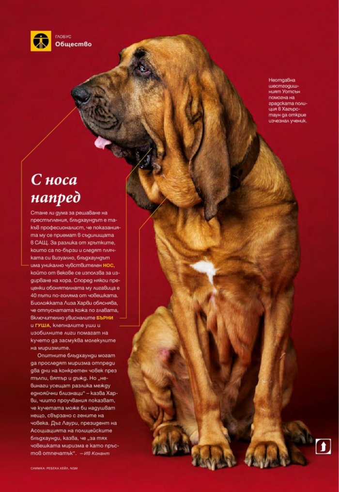 National Geographic България 9/2015