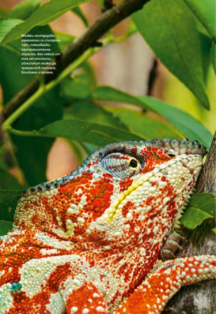 National Geographic България 9/2015