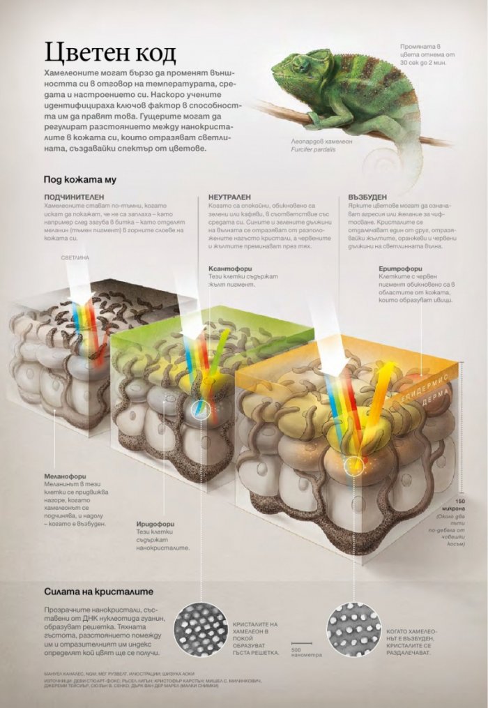 National Geographic България 9/2015