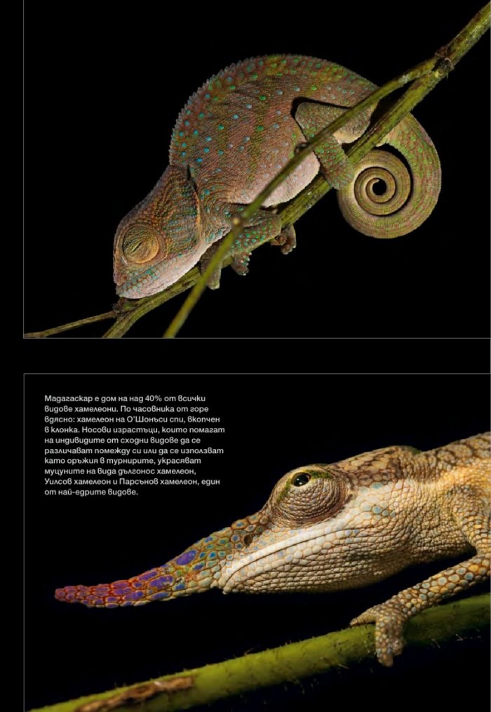 National Geographic България 9/2015