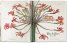 Redoutе. The Book of Flowers