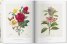 Redoutе. The Book of Flowers