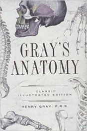 Gray's Anatomy