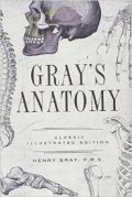 Gray's Anatomy