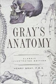 Gray's Anatomy