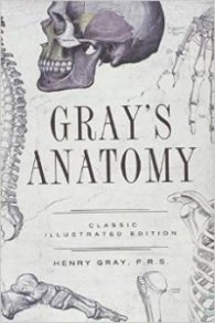 Gray's Anatomy