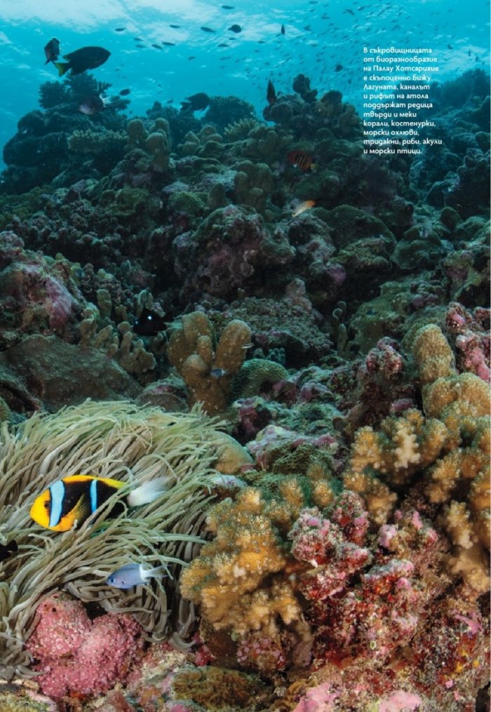 National Geographic България Юли/2024