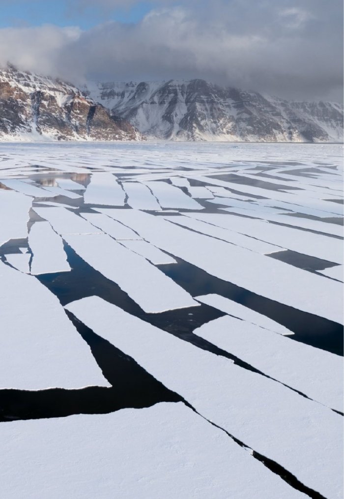 National Geographic България Юли/2024