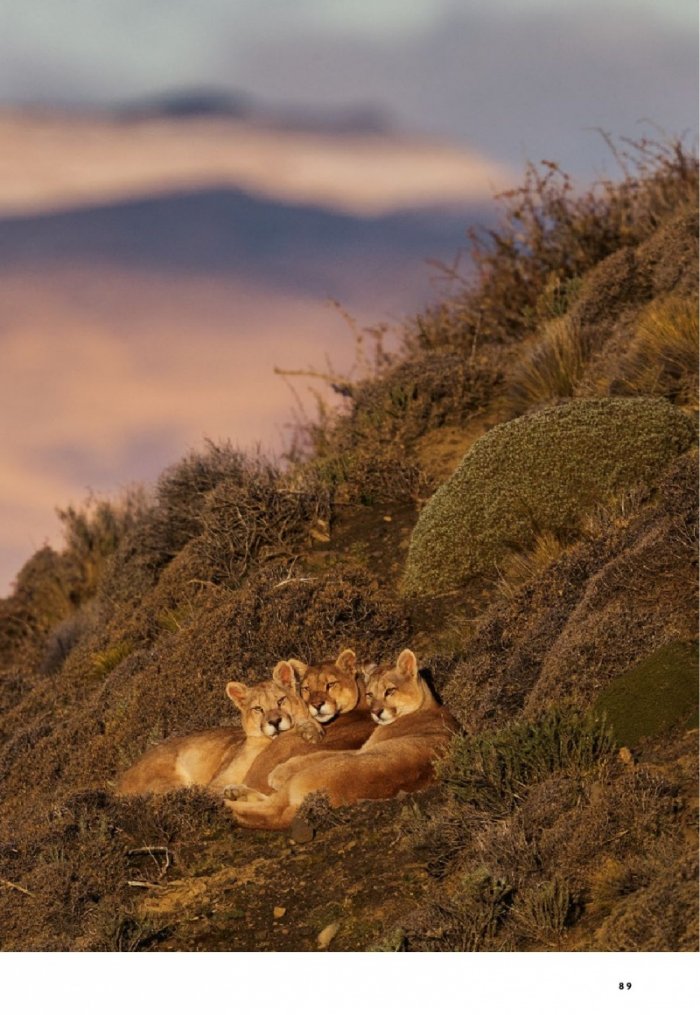 National Geographic България 3/2019