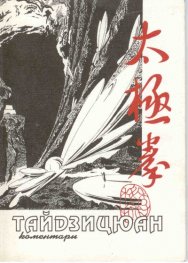 Тайдзицюан: Коментари