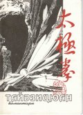 Тайдзицюан: Коментари