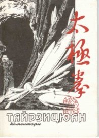 Тайдзицюан: Коментари