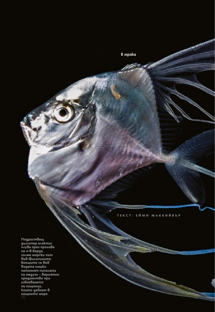 National Geographic България Октомври/2021