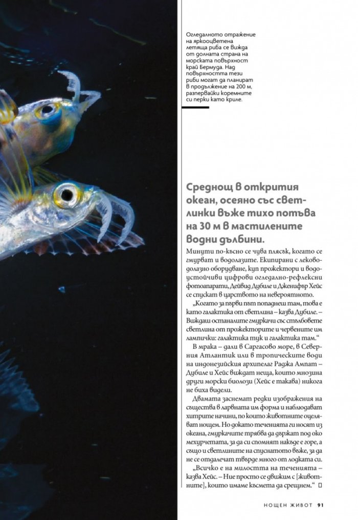 National Geographic България Октомври/2021