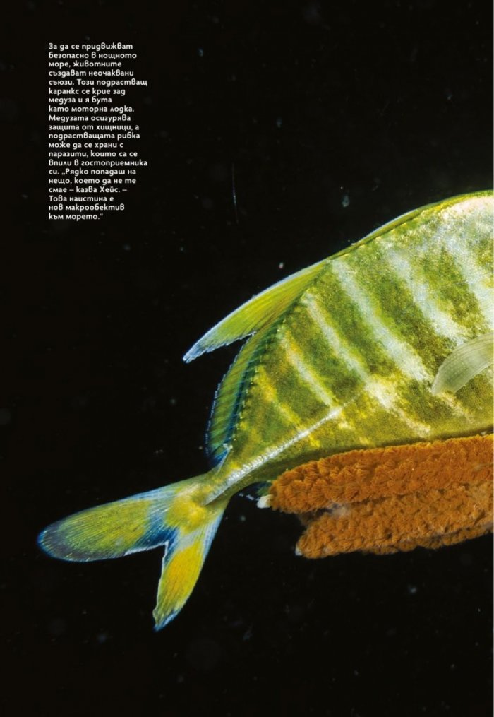 National Geographic България Октомври/2021