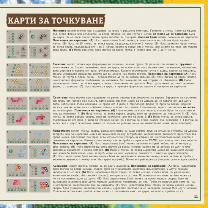 Каскадия - настолна игра