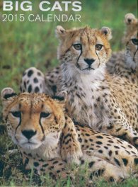 Calendar 2015: Big Cats