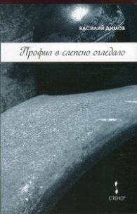Профил в слепено огледало