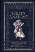 Gray's Anatomy