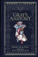 Gray's Anatomy