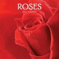 Calendar 2013: Roses