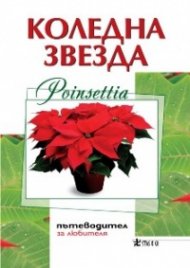 Коледна звезда/ Poinsettia. Пътеводител за любителя