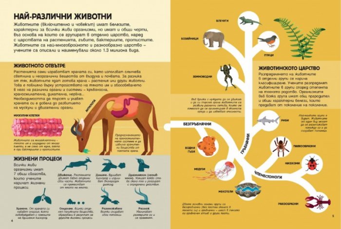 Прочети и сглоби! Животните