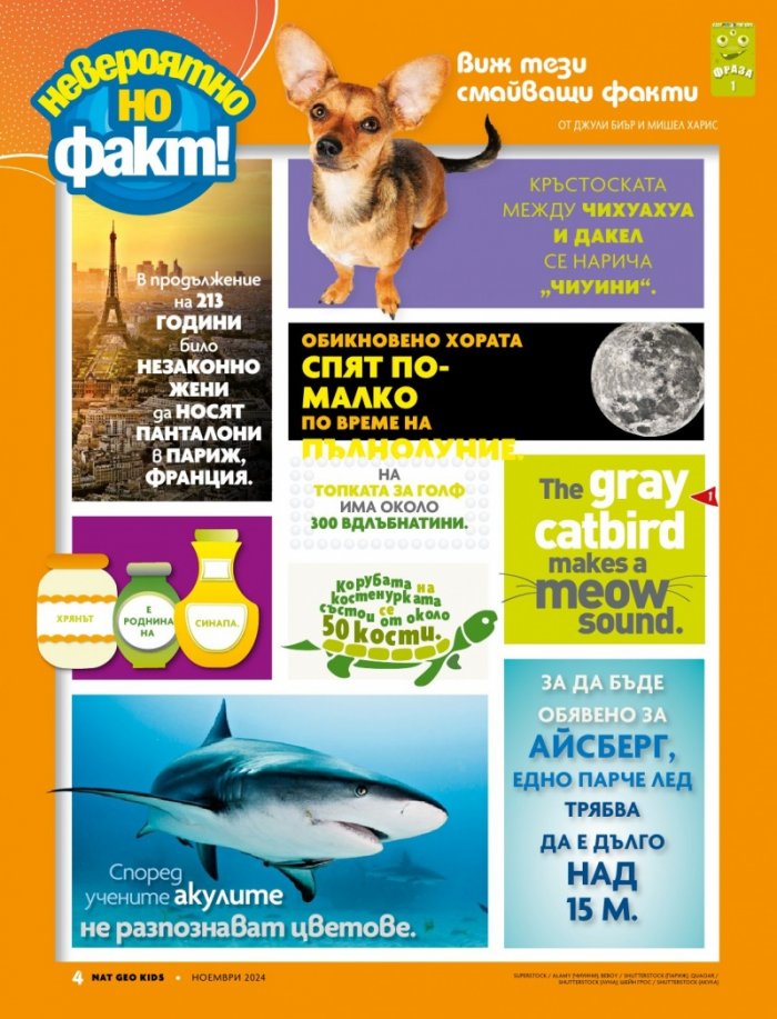 National Geographic KIDS България Ноември/2024